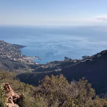 Cap Esterel Vacances - Studio Mer G2 Terrasse Couverte - 256la * Saint-Raphaël
